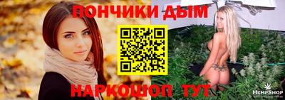 индика Сланцы