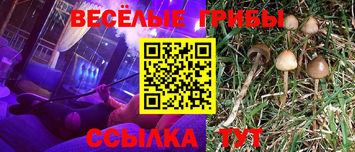 Норильск  Псилоцибиновые грибы GOLDEN TEACHER  Вход с VPN 