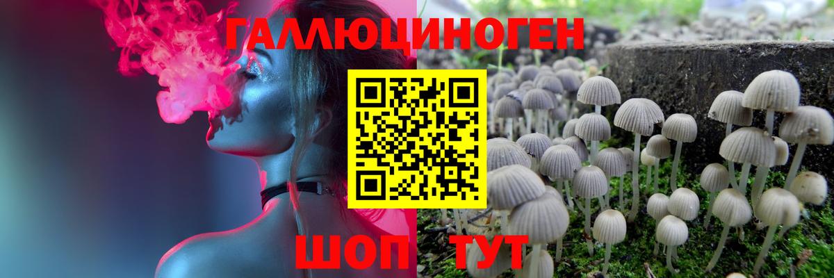Галлюциногенные грибы Cubensis Норильск